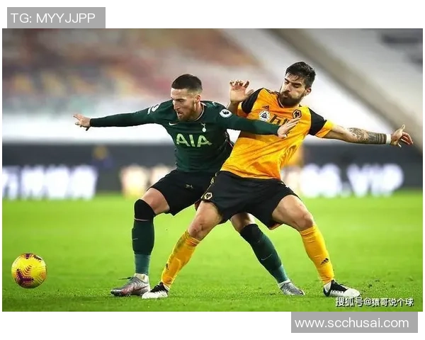 英超纽卡斯尔主场迎战狼队精彩对决全景解析